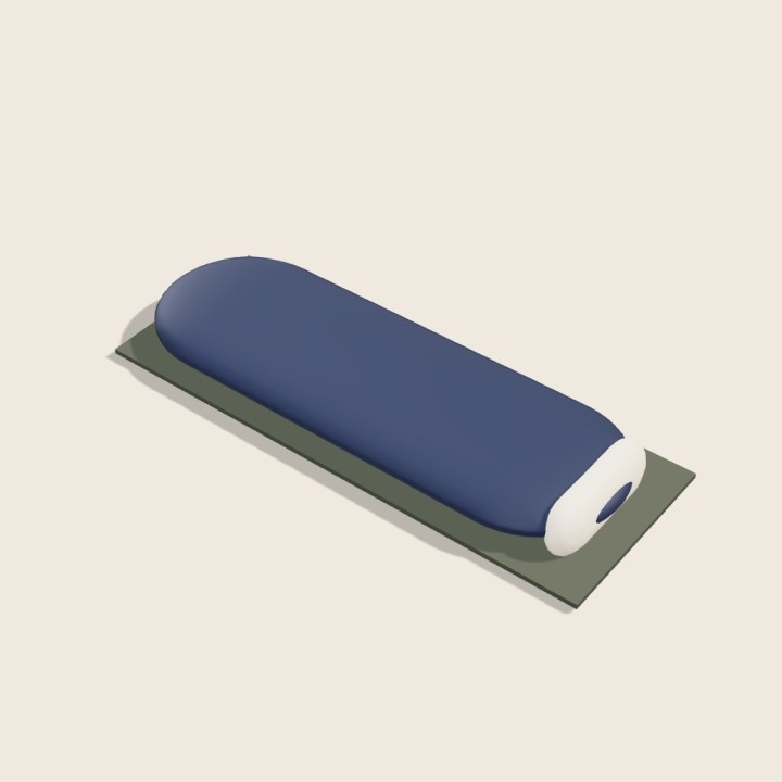Polar Sleeping Bag · Night